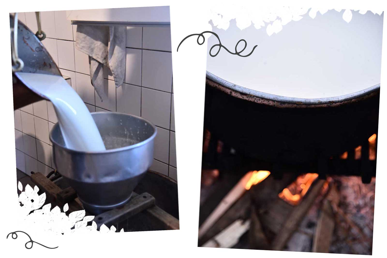 Lait et fromage de la Brigue