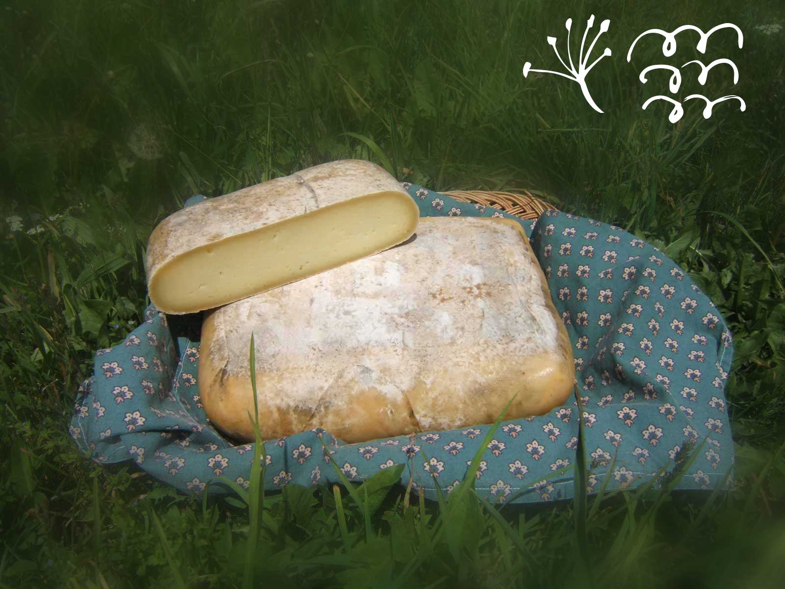 Tomme de la Brigue affinée